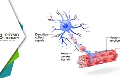 Understanding Motor Neuron Lesions And Associated Diseases